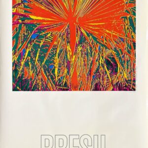 Affiche Ancienne Originale – Air France, Brésil – R. Pagès – 1971